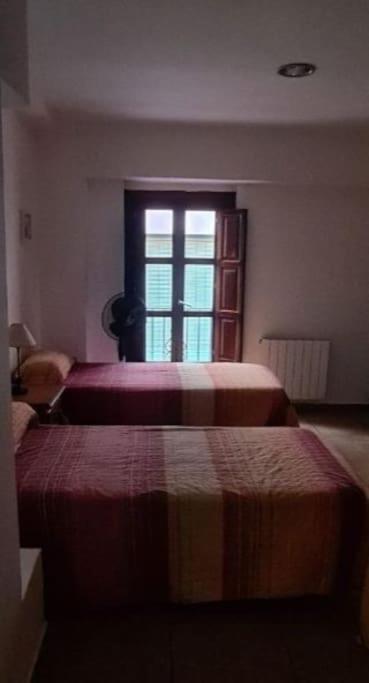 Corrala De San Anton. Sencillo Apartamento En Pleno Centro グラナダ エクステリア 写真